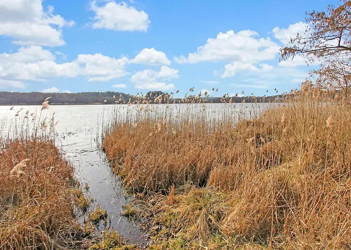 Holiday home Rheinsberg Ot